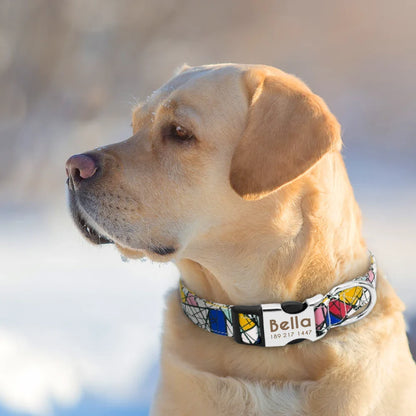 Adjustable Nylon Dog & Cat Collar – Personalized ID Collar with Engraved Name Buckle, Anti-Lost for Small, Medium & Large Pets
