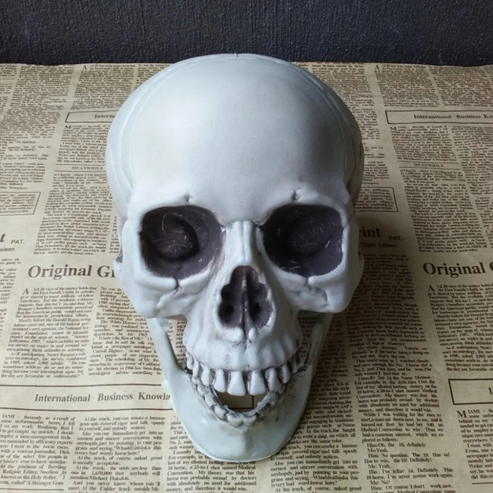 Plastic Skull Head Figurine — Scary Skeleton Decorative Statue for Halloween, Bar, Party & Home Decor
