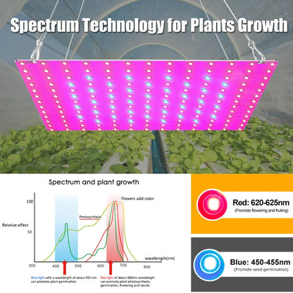 1000W/2000W LED Full Spectrum Plant Grow Light: Hydroponic Growing Lamp for Indoor Plants - Ultrathin Panel Design for Phyto Veg and Flower Growth
