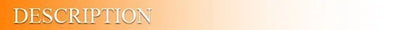 25 Yards 10mm Satin Ribbon with White & Gold Edge - High-Quality Gift Packaging Ribbon