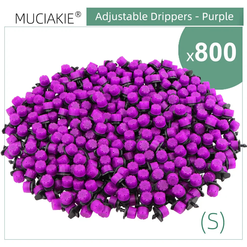 4.79667E+13