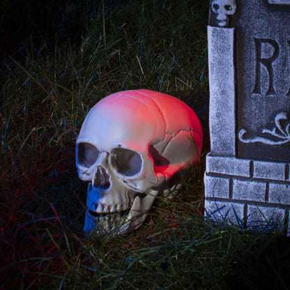 Plastic Skull Head Figurine — Scary Skeleton Decorative Statue for Halloween, Bar, Party & Home Decor