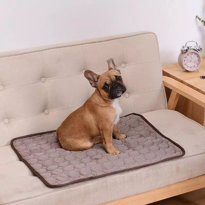 Summer Cooling Dog Mat: Breathable Pad for Dogs and Cats - Washable Pet Bed Blanket for Small, Medium, and Large Dogs, Ideal for Cars
