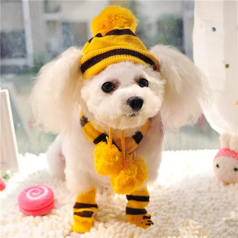 Winter Knitted Pet Accessories Set – Striped Hat, Scarf & Socks for Small Dogs, Puppies & Cats