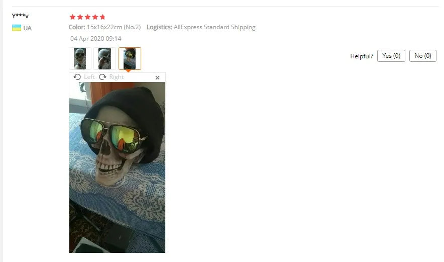 Plastic Skull Head Figurine — Scary Skeleton Decorative Statue for Halloween, Bar, Party & Home Decor