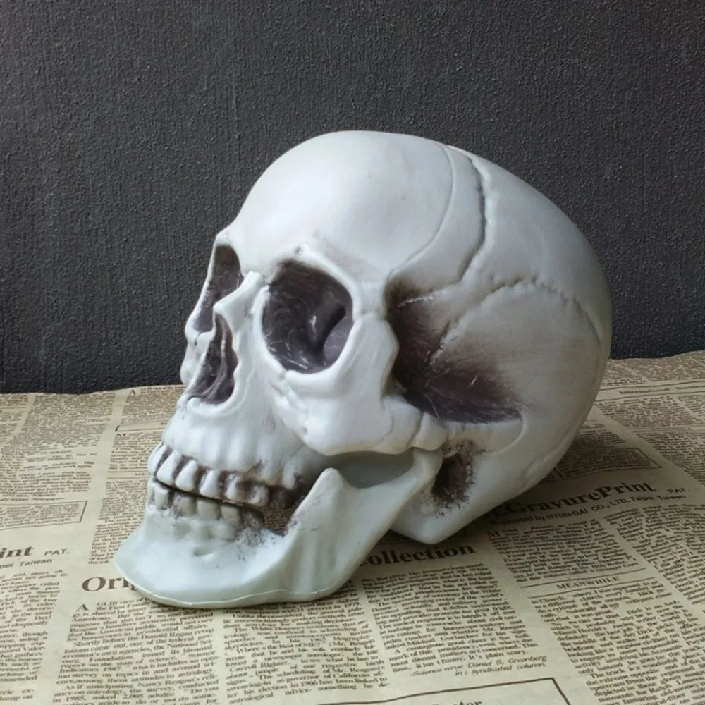 Plastic Skull Head Figurine — Scary Skeleton Decorative Statue for Halloween, Bar, Party & Home Decor