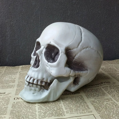Plastic Skull Head Figurine — Scary Skeleton Decorative Statue for Halloween, Bar, Party & Home Decor