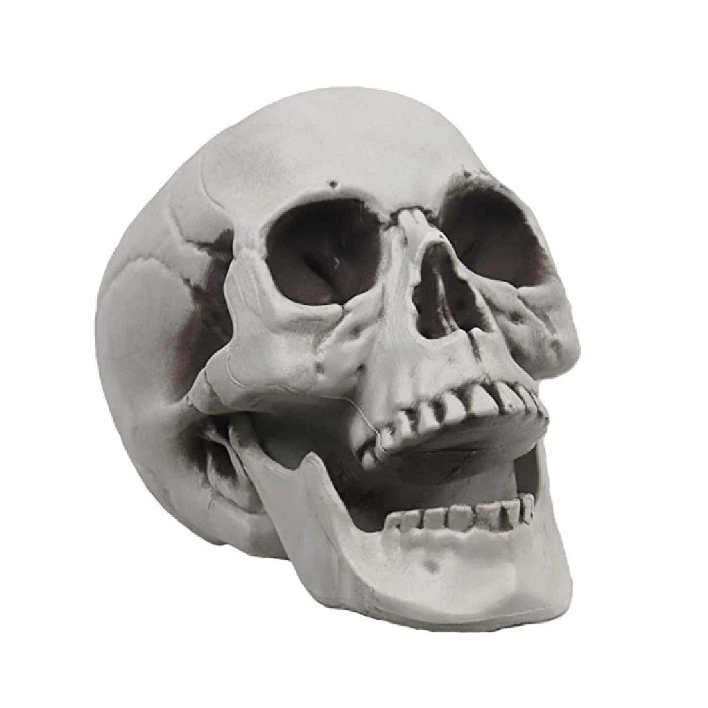 Plastic Skull Head Figurine — Scary Skeleton Decorative Statue for Halloween, Bar, Party & Home Decor