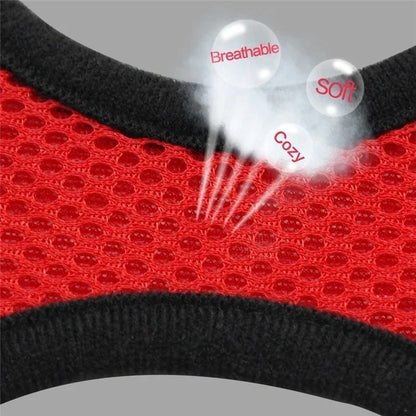Adjustable Mesh Cat Harness Vest: Walking Lead Leash for Puppy Dogs - Polyester Collar for Small to Medium Pets, Pet Accessories