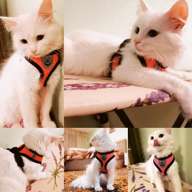Adjustable Mesh Cat Harness Vest: Walking Lead Leash for Puppy Dogs - Polyester Collar for Small to Medium Pets, Pet Accessories