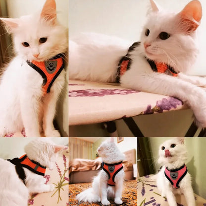 Adjustable Mesh Cat Harness Vest: Walking Lead Leash for Puppy Dogs - Polyester Collar for Small to Medium Pets, Pet Accessories