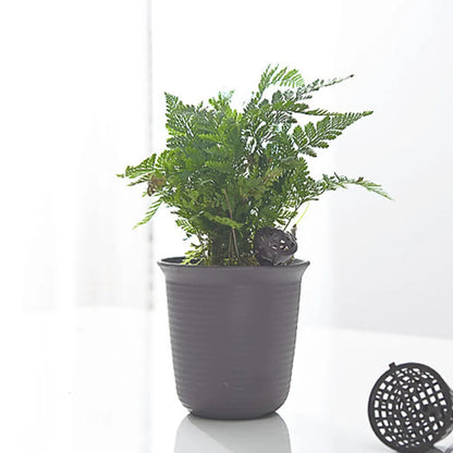Eco-Friendly Fertilizer Basket with Lid - Bonsai Fertilizer Container for Easy Carrying (10-50pcs)