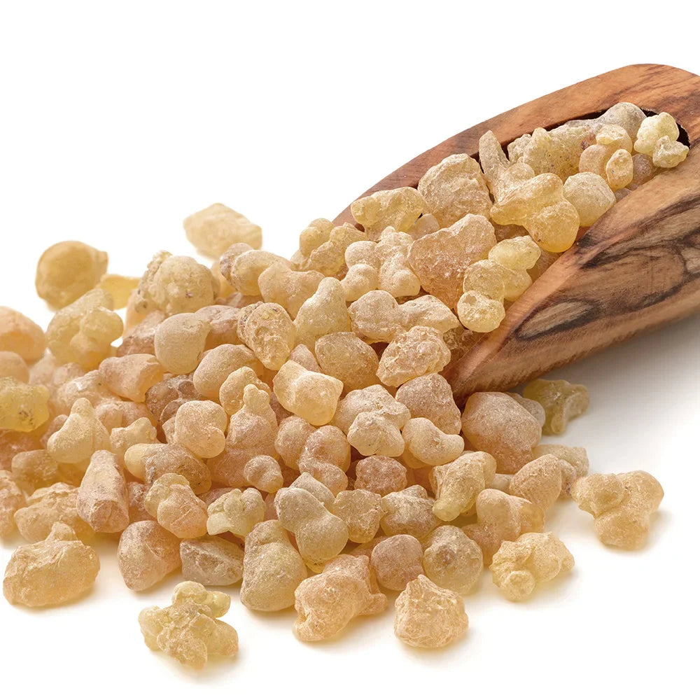 High-Quality Frankincense Incense Block – 20g Boswellia Nipple with Clean Aroma