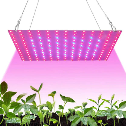 1000W/2000W LED Full Spectrum Plant Grow Light: Hydroponic Growing Lamp for Indoor Plants - Ultrathin Panel Design for Phyto Veg and Flower Growth