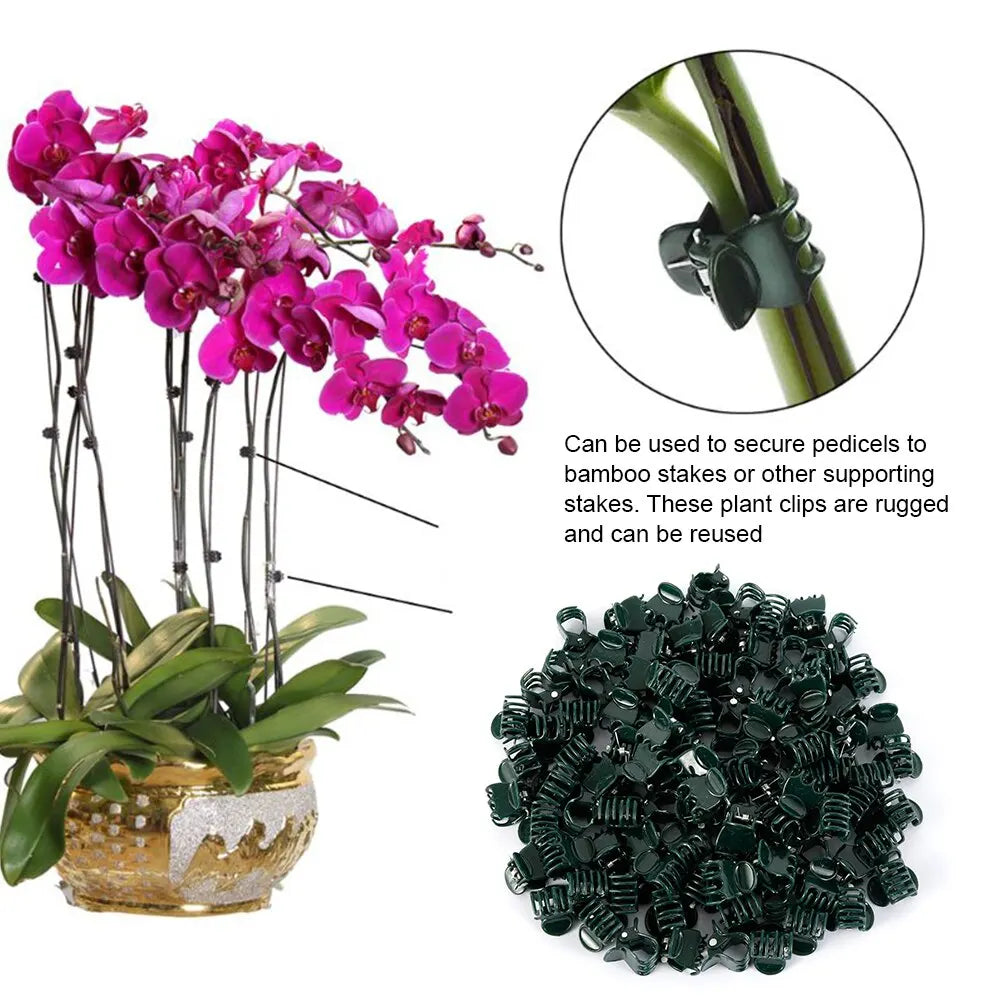 100pcs Garden Plant Clips: Plastic Support for Orchid Stems, Vine, Vegetables, Flowers - Ideal for Tying, Bundling, and Clamping Garden Branches