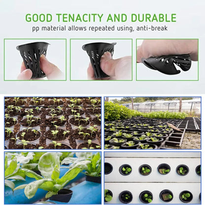 25PCS Hydroponic Mesh Net Pots – Soilless Plant Nursery Cups for Vegetable & Garden Growing