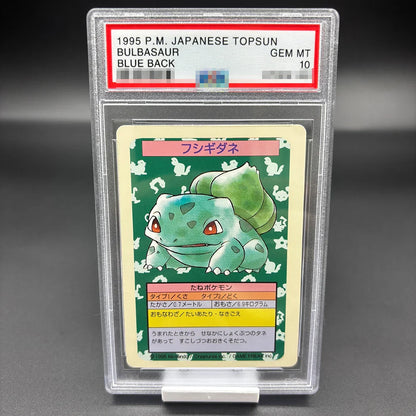 DIY 2023 PTCG Van Gogh Pikachu & Grey Felt Hat Collection Card – 10-Point Rating Anime Game Card Gift Toy