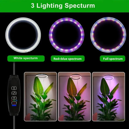 Height Adjustable LED Grow Light — Full Spectrum Plant Growing Lamp with 3 Timers for Indoor Large Plants
