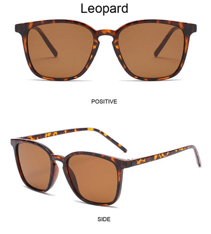 2025 Fashion Square Sunglasses — Retro Designer Cat Eye Shades for Women, Vintage Black UV Protection