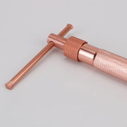 Cake Sculpture Clay Tool Gun – Rose Gold Fondant Extruder with 20 Tips for Sugar Paste Craft