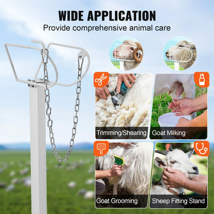 VEVOR Adjustable Goat & Sheep Milking Stand — 51x23 in Metal Livestock Shearing & Milking Platform, 21"-33" Height, White