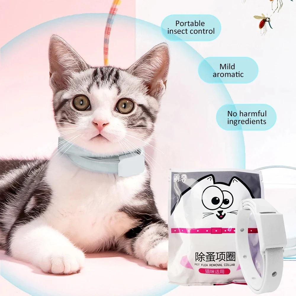 Adjustable Anti Flea Tick Collar for Cat and Small Dog - 8-Month Antiparasitic Protection, Breakaway Puppy Kitten Collar - Essential Pet Accessories