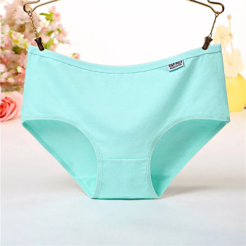 7Pcs/Lot Plus Size Women's Cotton Panties: Sexy Briefs, Lingeries Shorts Underpant Solid Panty - Female Intimates in 4XL