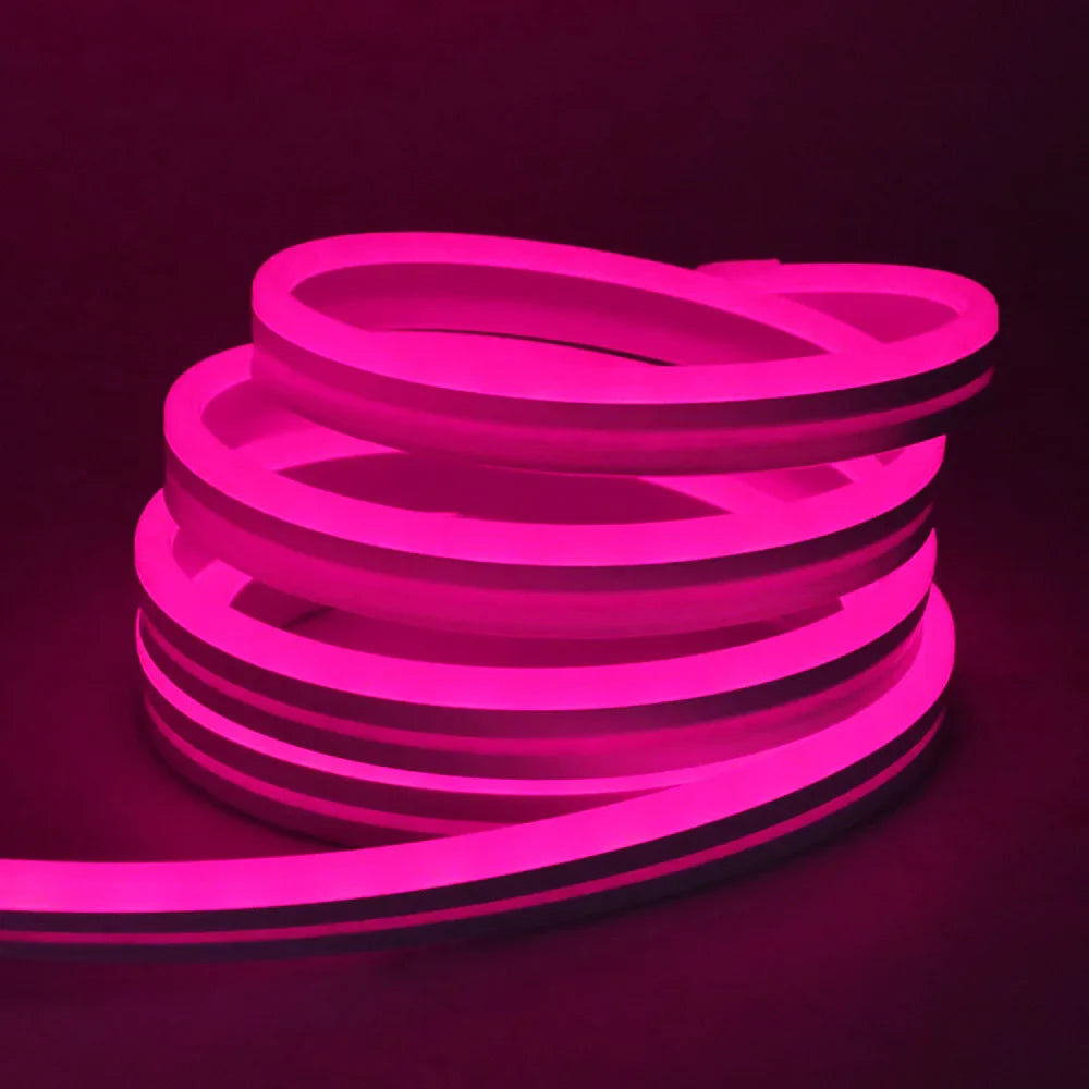 EU Plug DC24V RGB Neon LED Strip – 3535 Bluetooth Music Sync Waterproof Rope Light, 5-30M for Indoor & Outdoor Decor