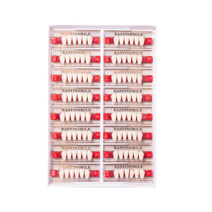 16/12 Set Dental Denture Teeth Model Kit, Upper & Lower Anterior Synthetic Polymer Teeth A2 A3 for Dental Education & Training