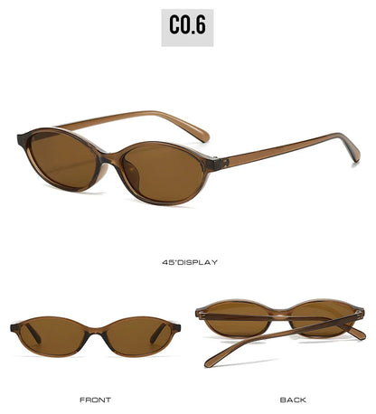 2024 Women’s Leopard Brown Sunglasses — Fashion Brand Small Frame Retro Oval Sun Glasses, Ladies Eyewear Shade