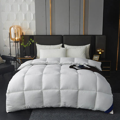 Warm Winter Thick Quilts – Down Filling Comforter for Single, Double & Couple Beds, 150x200cm