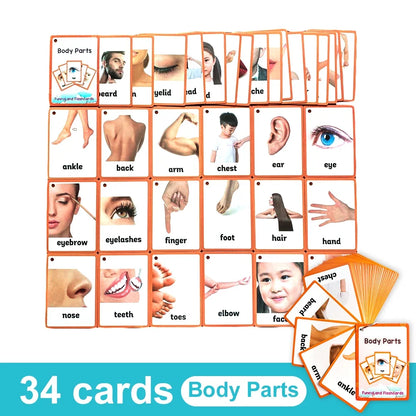Kids English Vocabulary Flashcards - 26 Themes Fruits Animals Vehicles & Learning Activity Cards