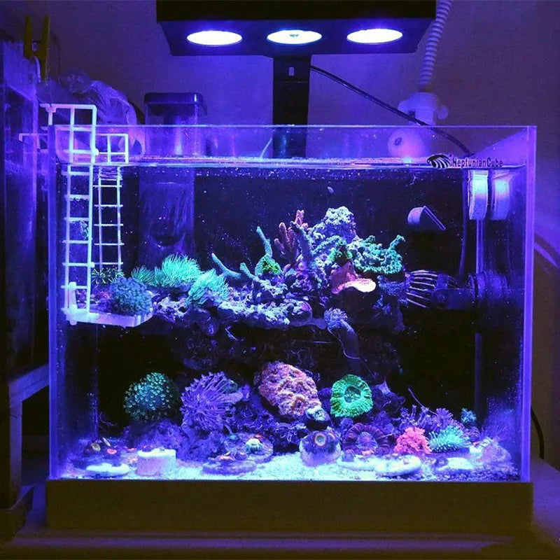Spectra Nano 029 Aquarium Light 30W – Touch Control Saltwater Lighting for Coral Reef Fish Tanks