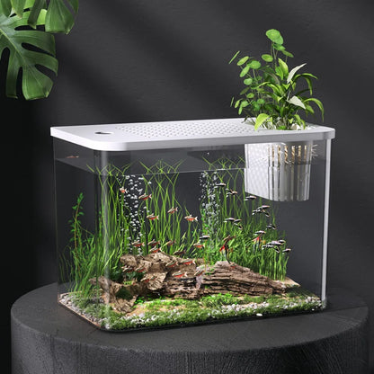 PET+ABS Transparent Fish Tank with Lid – Drop-Resistant Aquarium & Hydroponic Turtle Tank for Home