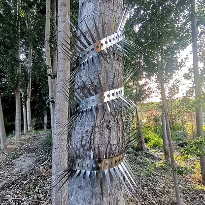 Stainless Steel Bird Spikes 1M – Pigeon, Squirrel & Woodpecker Deterrent for Roof, Fence, Window & Garden Protection
