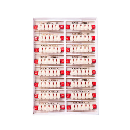 16/12 Set Dental Denture Teeth Model Kit, Upper & Lower Anterior Synthetic Polymer Teeth A2 A3 for Dental Education & Training