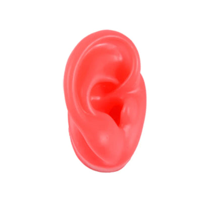 Soft Silicone Ear Model Display Stand – Tattoo Practice & Body Piercing Jewelry Holder with Acrylic Earring Display Kit for Training & Showcase