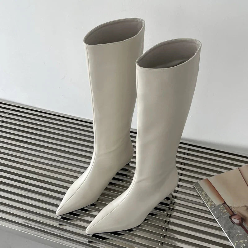 Aneikeh 2025 Fashion Sexy Pointed Low Heel Knee-High Boots – Women's Spring/Autumn PU Western Party Boots (Size 35-40)