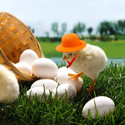 Tiny Pets Chicken Hat - Funny Hen Top Hat for Roosters, Ducks, Parrots, Hamsters - Poultry Stylish Show Costume