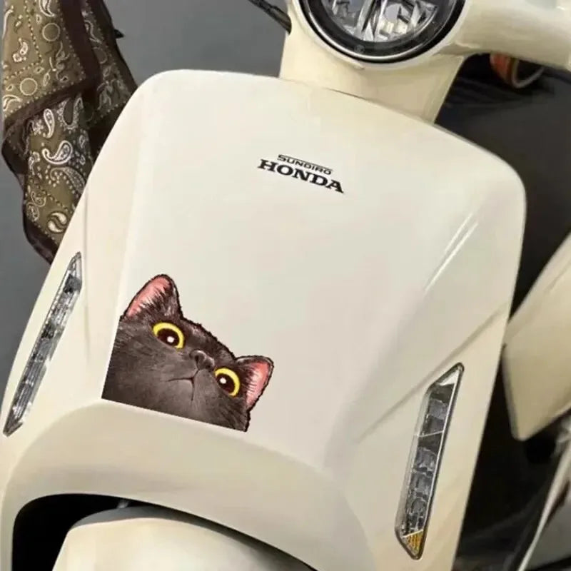 Funny Cat Expression Stickers - Creative Car, Motorcycle, Laptop & Luggage Decals