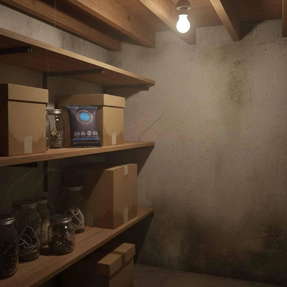 Dehumidification Bag – Professional Car & Home Moisture Absorber for Closet and Interior Protection