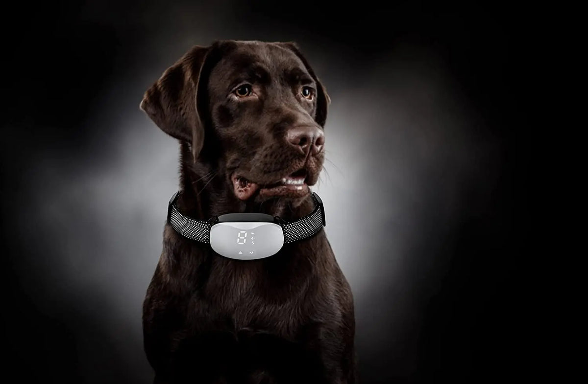 LED Anti-Bark Dog Training Collar with Sound & Vibration Modes Adjustable Bark Control for Small, Medium & Large Dogs Rechargeable Pet Training Accessory
