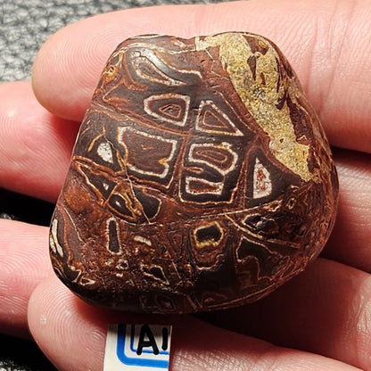 Natural Desert Stone - Decorative Gem for Feng Shui, Spiritual & Boho Home Decor