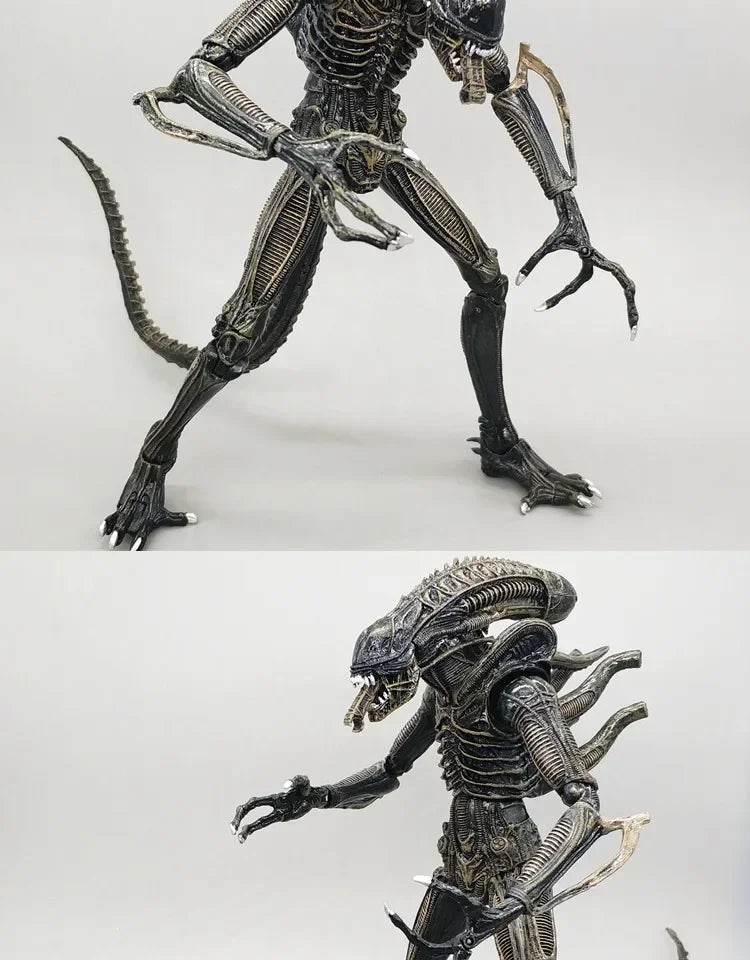 NECA Xenomorph Alien vs. Predator Action Figure — Fully Articulated Collectible with Movable Joints, Cool Toy & Gift