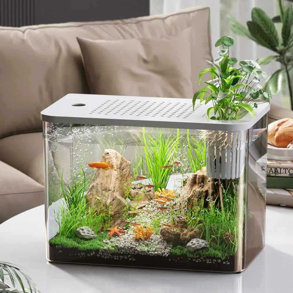 Transparent PET+ABS Fish Tank with Lid – Drop-Resistant Hydroponic Turtle Aquarium for Home