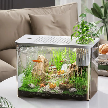 Transparent PET+ABS Fish Tank with Lid – Drop-Resistant Hydroponic Turtle Aquarium for Home