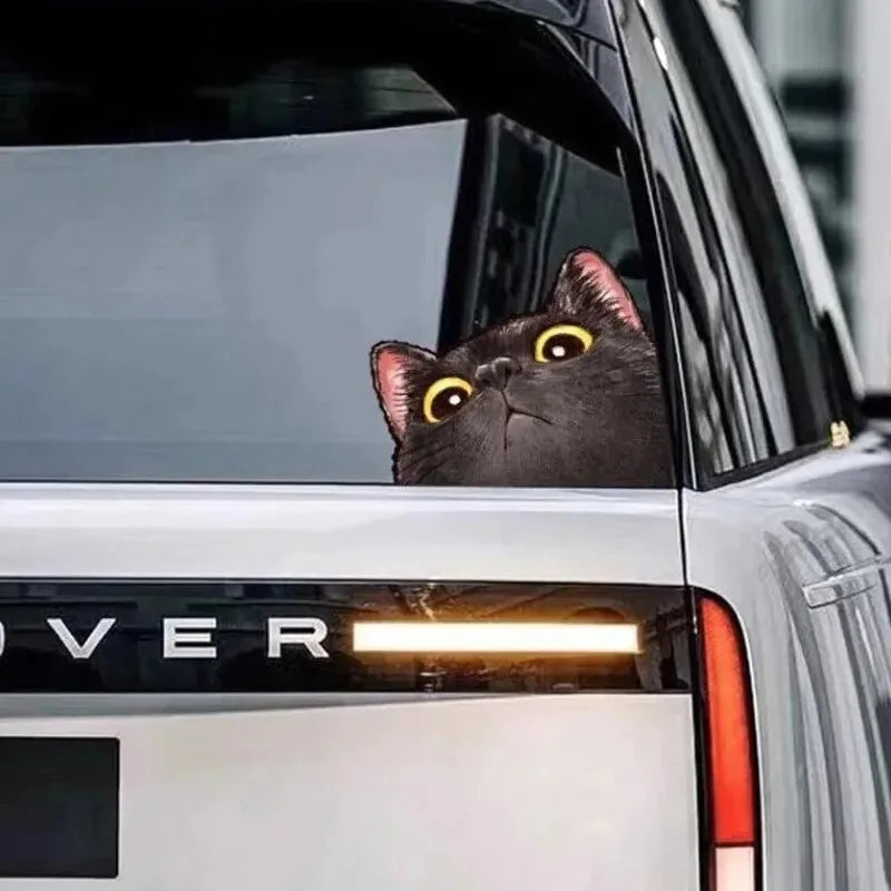 Funny Cat Expression Stickers - Creative Car, Motorcycle, Laptop & Luggage Decals