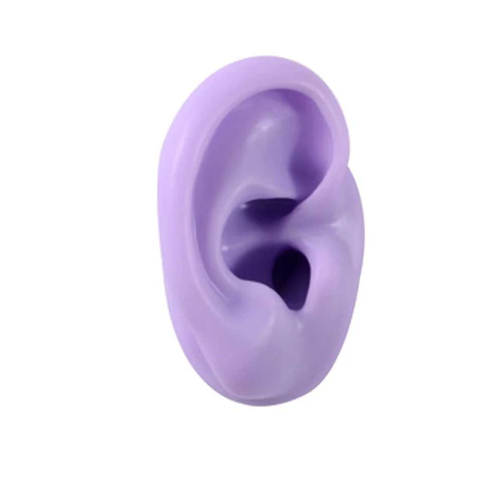 Soft Silicone Ear Model Display Stand – Tattoo Practice & Body Piercing Jewelry Holder with Acrylic Earring Display Kit for Training & Showcase