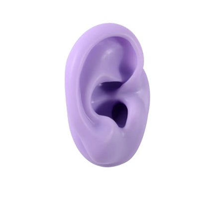 Soft Silicone Ear Model Display Stand – Tattoo Practice & Body Piercing Jewelry Holder with Acrylic Earring Display Kit for Training & Showcase