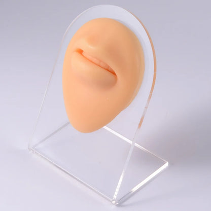 Soft Silicone 1:1 Simulation Body Piercing Practice Model – Ear, Nose, Navel & Nipple Display Stand for Jewelry Training & Teaching Accessories